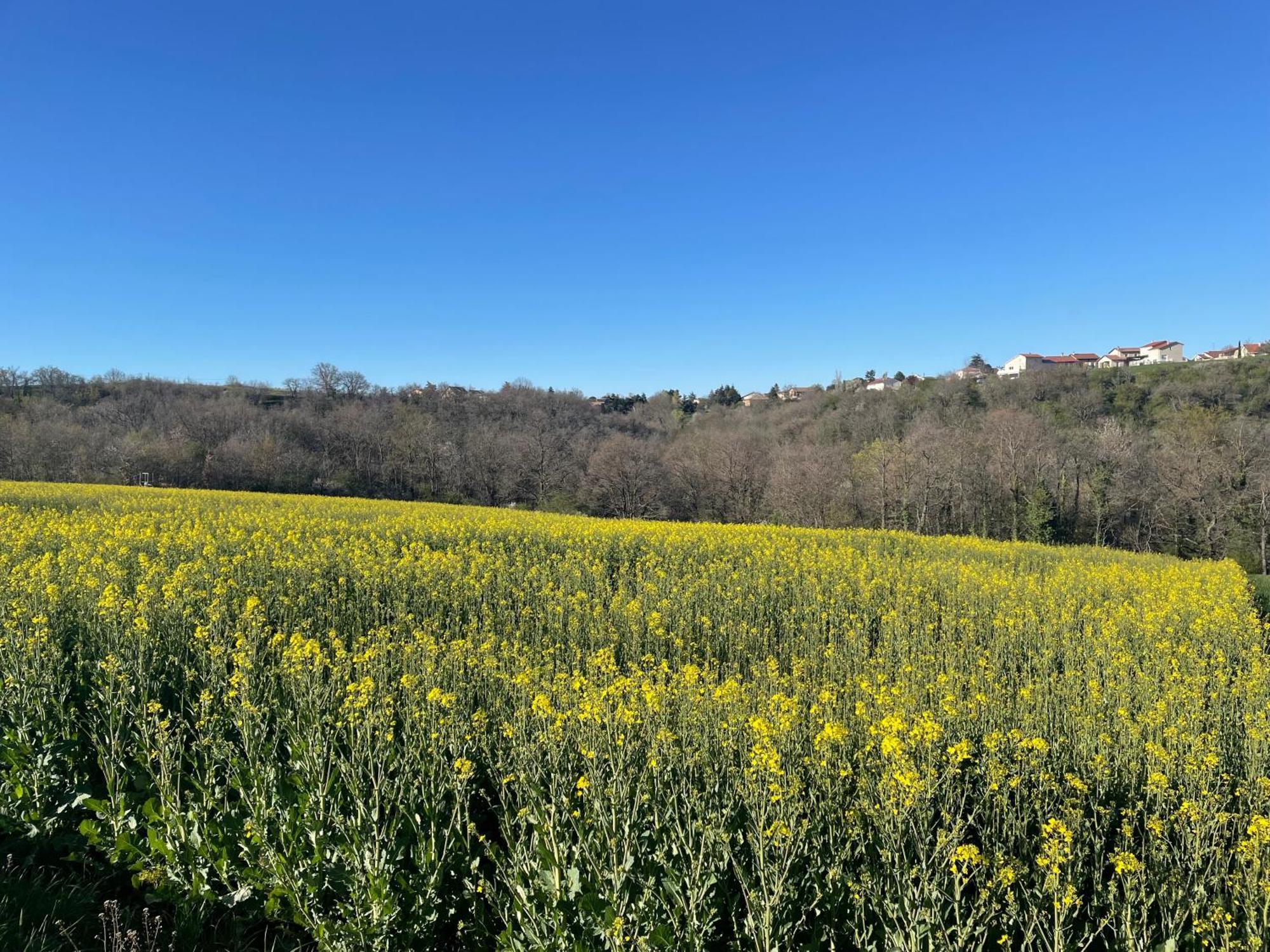 Maison De Village Coeur Andeol Saint-Andeol-le-Chateau 外观 照片